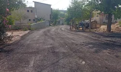 Ellek Belediyesi'nden Yeni Asfalt Hizmeti
