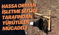 Hassa Orman İşletme Şefliği tarafından yürütülen mücadele