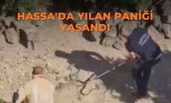 Hassa'da yılan paniği yaşandı
