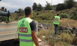 Hatay Büyükşehir Belediyesi haşerelere karşı hangi yöntemleri uyguluyor