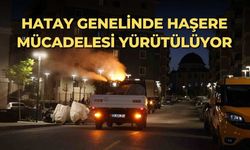 Hatay genelinde haşere mücadelesi  yürütülüyor