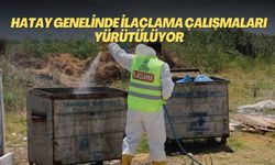 Hatay genelinde ilaçlama çalışmaları yürütülüyor