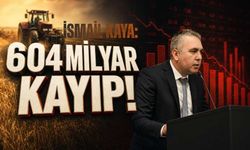 İsmail Kaya “İşi Ehline Verin” Dedi,
