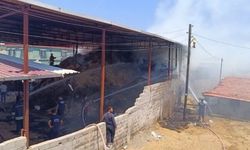 Kumlu ilçesindeki yangın nasıl başladı
