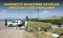 Narenciye bahçesine devrilen araçtaki 4 kişi yaralandı