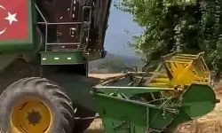 Tohum Desteği Verimi Artırdı! Hasanbeyli'nde Hasat Heyecanı
