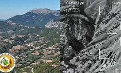 Osmaniye Ormanlarında "Gök Vatan" Kalkanı