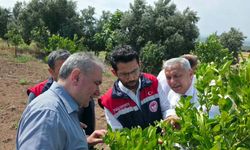 Osmaniye Tarımında Doğa Dostu Yeni Dönem Başladı