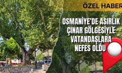 Osmaniye’de Asırlık Çınar Gölgesiyle Vatandaşlara Nefes Oldu
