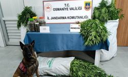 Osmaniye’de Jandarmadan Haftalık Asayiş Raporu 20-26 Temmuz