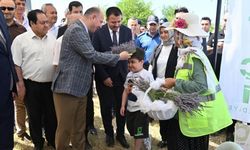 Osmaniye'de Lavanta Bahçesinin Geliri SMA Hastası Uygur'a Umut Olacak!