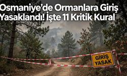 Osmaniye'de Ormanlara Giriş Yasaklandı! İşte 11 Kritik Kural