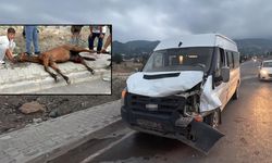 Osmaniye'de Yolcu Otobüsü Ata Çarptı