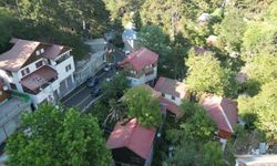 Bu Yaylada Hırkasız Gezilmiyor! Osmaniye'nin En Serin Yaylası