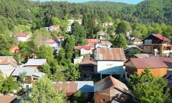 Osmaniye'nin Serin Cenneti Zorkun Yaylası Yaz Sezonuna Damga Vurdu
