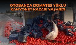 Otobanda domates yüklü kamyonet kazası yaşandı