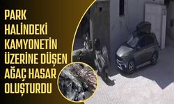 Park halindeki kamyonetin üzerine düşen ağaç hasar oluşturdu