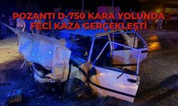 Pozantı D-750 kara yolunda feci kaza gerçekleşti