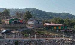 Sokağa terk edilen sevimli dostlar için önlemler alındı