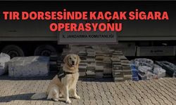 Tır dorsesinde kaçak sigara operasyonu