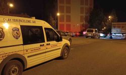 Adana Kozan Çanaklı Mahallesindeki bıçaklı kavga nasıl çıktı
