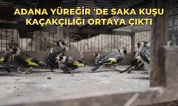 Adana Yüreğir 'de saka kuşu kaçakçılığı ortaya çıktı