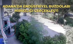 Adana'da endüstriyel buzdolabı hırsızlığı gerçekleşti