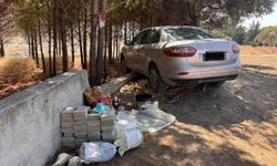 Arsuz'da sürücü ağaca çarparak kaza yaptı