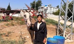 Babasının iş yükünü hafifletmek isteyen genç kız keçi sayısını 30'a çıkardı