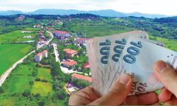 Üniversiteye Gidecekler Dikkat! O Üniversiteyi Seçene Her Ay 25.000 TL Verilecek!