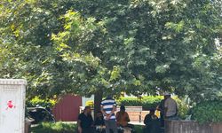 Osmaniye’de Kavurucu Sıcaklar Hayatı Zorluyor