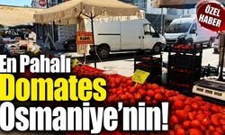 En Pahalı Domates Osmaniye'nin!