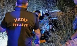 Hatay İskenderun Karayılan Mahallesinde inek uçuruma düştü