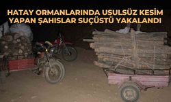 Hatay ormanlarında usulsüz kesim yapan şahıslar suçüstü yakalandı