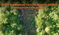 Hatay Samandağ Yaylıca Mahallesi'nde operasyon gerçekleşti