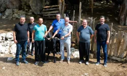 Kadirli Yaylalarında Hayvan Sağlığı İçin Saha Çalışması