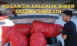 Kozan salçalık biber sezonu başladı