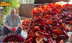 Osmaniye'de Salçalık Biber Sezonu Başladı
