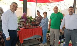 Osmaniye'de Tarladan Tezgâha Alın Teri