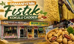 Osmaniye'nin Fıstık Kokulu Caddesi