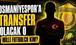 Osmaniyespor'a Transfer Olacak O Milli Futbolcu Kim?