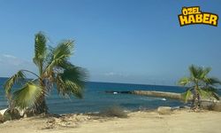 Özel Beach'leri Kıskandıran Ücretsiz Koy