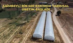Saimbeyli bin 500 rakımda tarımsal üretim başladı