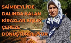 Saimbeyli'de dalında kalan kirazlar kışlık çereze dönüştürülüyor