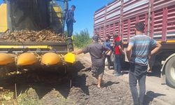 Sumbas’ta Dane Mısır Hasadı Öncesi Biçerdöver Kontrolleri Sürüyor