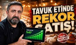 Tavuk Eti ve Yumurtada Üretim Rekorları Haziran Ayı Verileri Netleşti