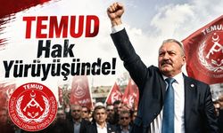 TEMUD Hak Yürüyüşünde! "Uzman Çavuşlara Tazminat Sözü Tutulmadı"