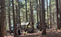 Zorkun Yaylası’nda Piknik Alanları Ailelerin Gözdesi Oldu!