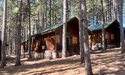 Zorkun Yaylası’nda Doğa ile İç İçe Tatil