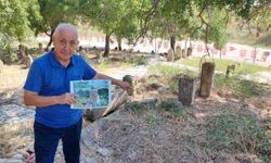 Adana Yüreğir Camili Mahallesindeki Tarihi Mezarlıkta Hangi Değerli Mezar Taşı Çalındı